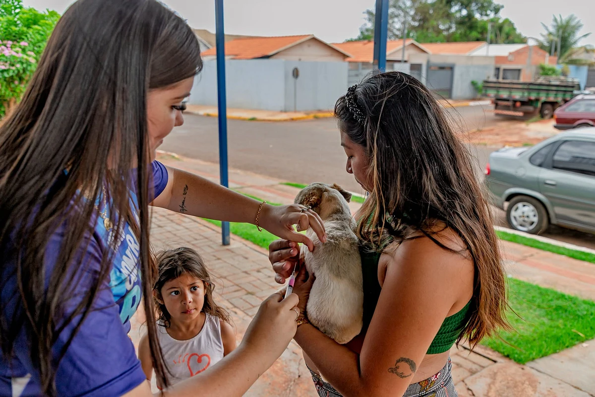 Imagem da notícia