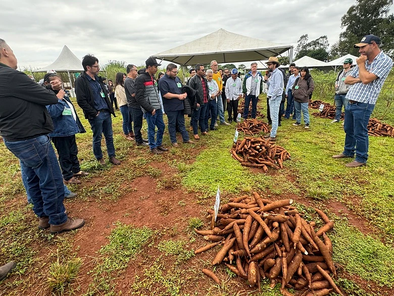 Imagem da notícia