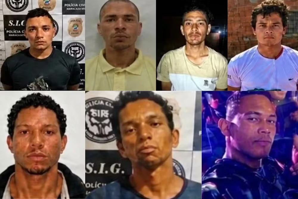 Imagem da notícia